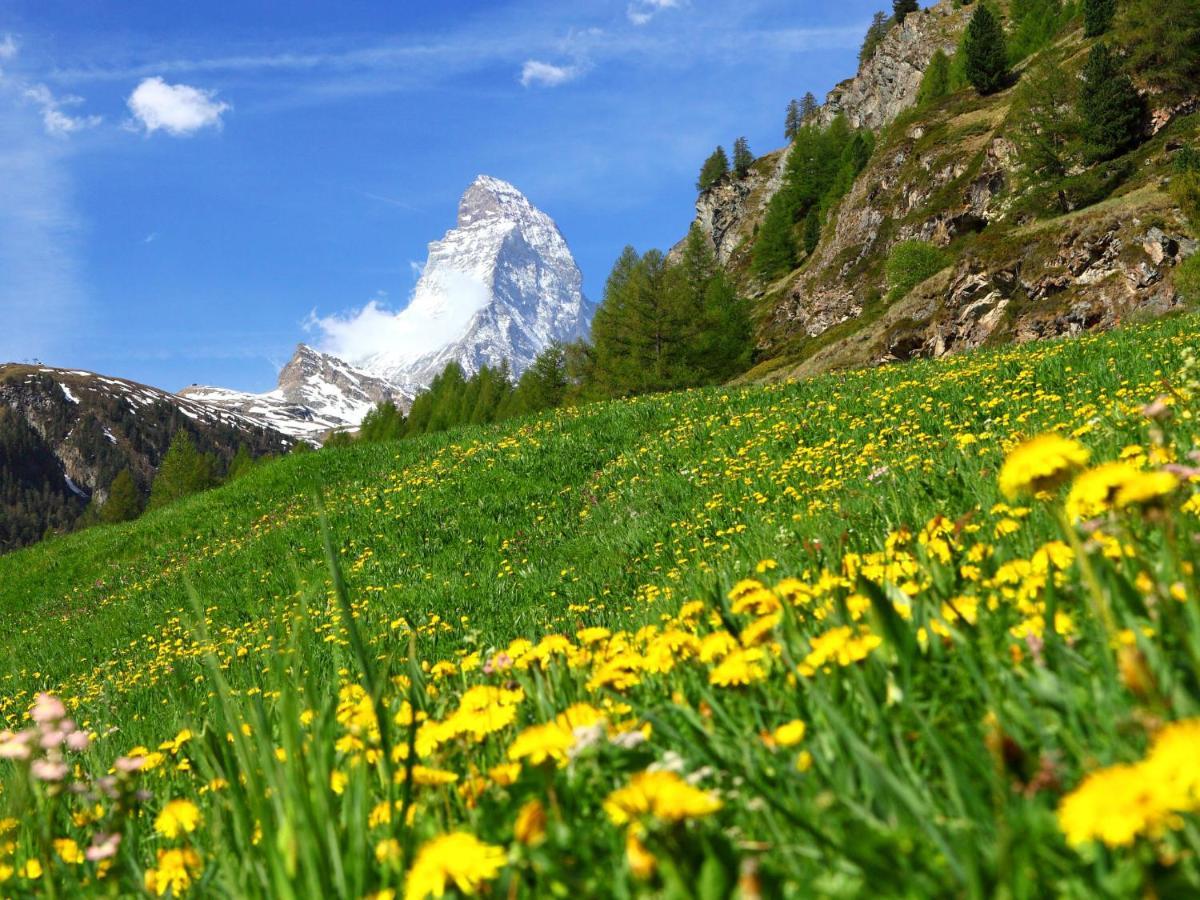 Apartment Silence-1 By Interhome Zermatt Eksteriør bilde